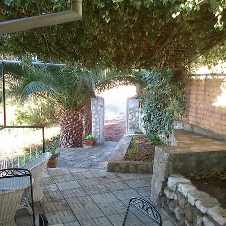 Tip-top Apartment Vis