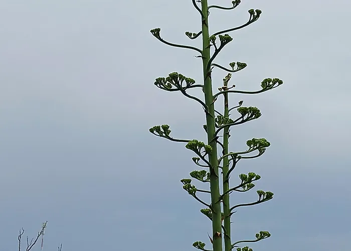 Tip-top Apartamento *